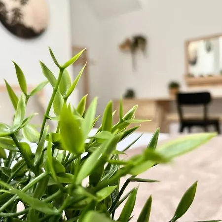 Apartment Vive V *